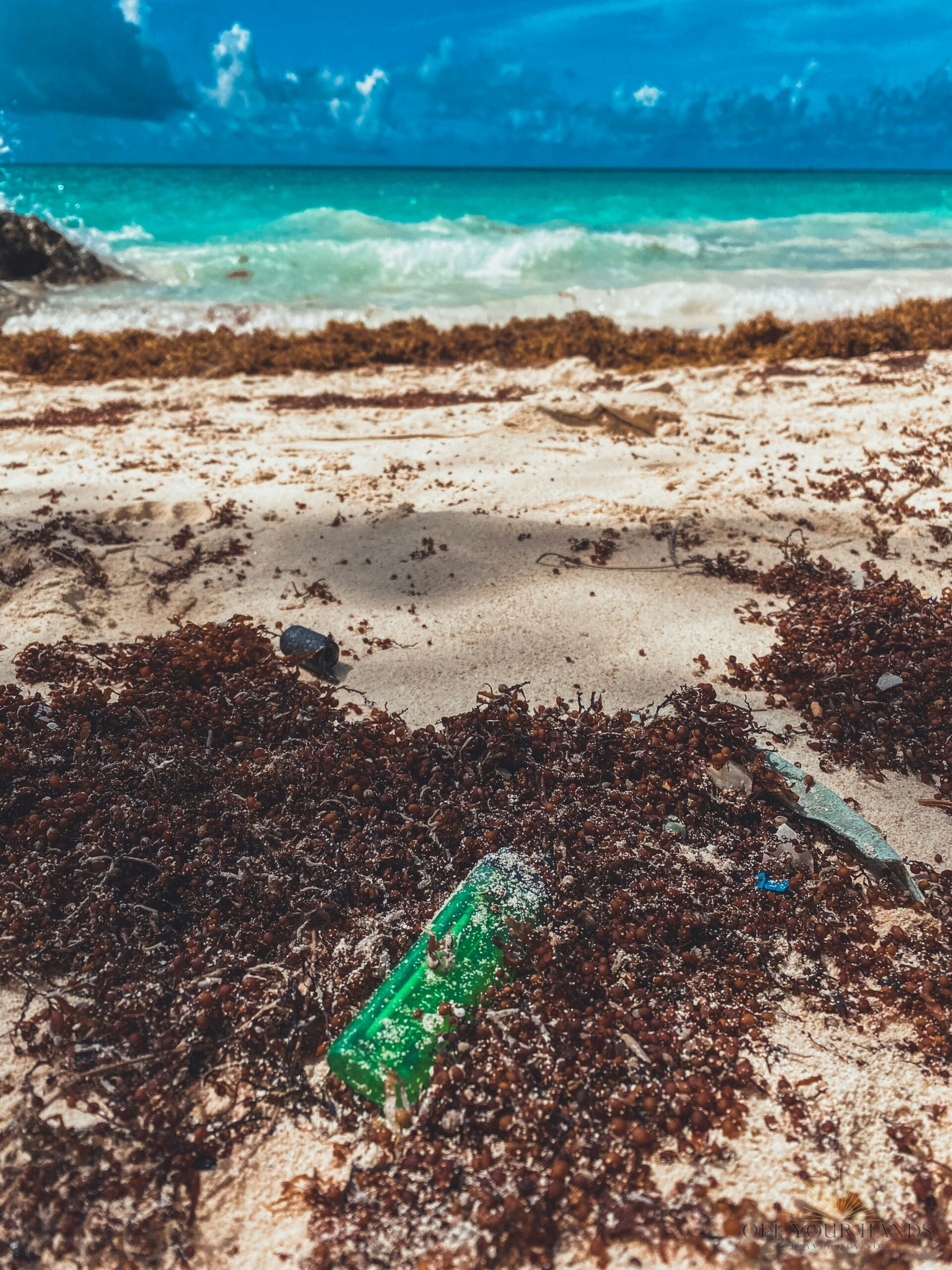 The Caribbean Vacation Villain Hiding in Plain Sight: A Sargassum Survival Guide
