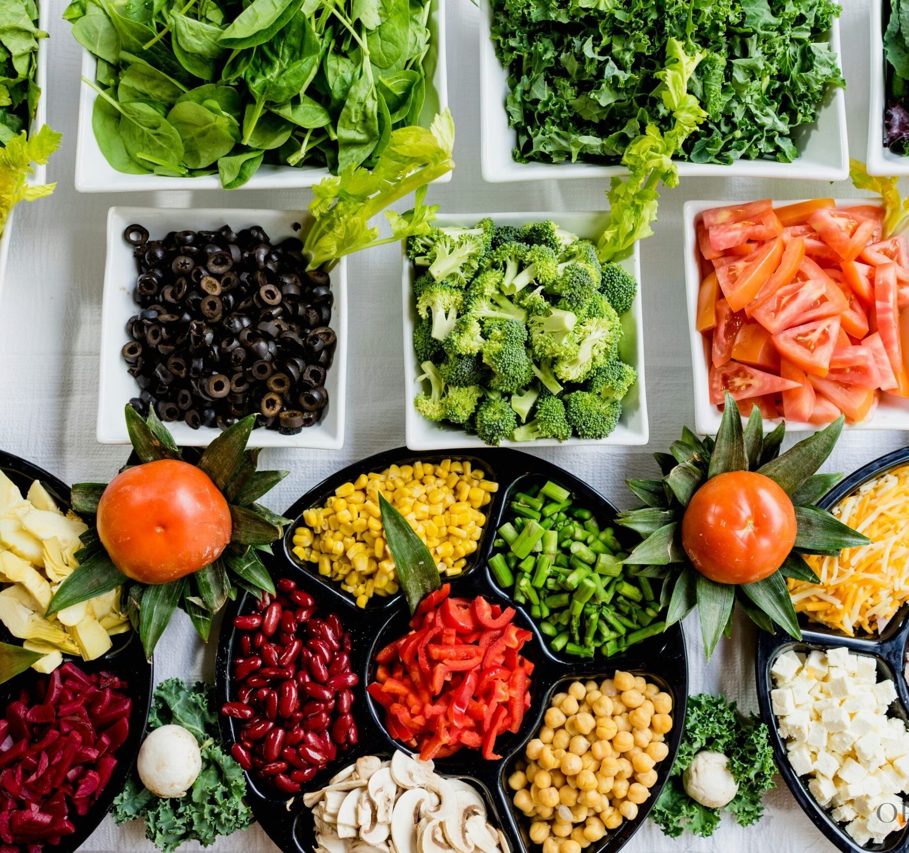 Variety of fresh salad ingredients at a resort buffet
